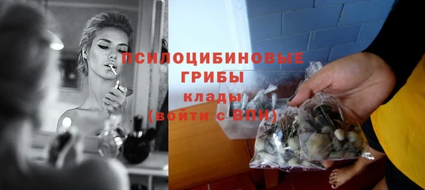 твердый Куйбышев