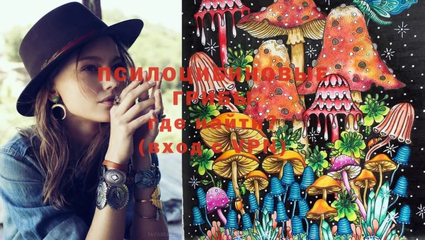 трава Кукмор