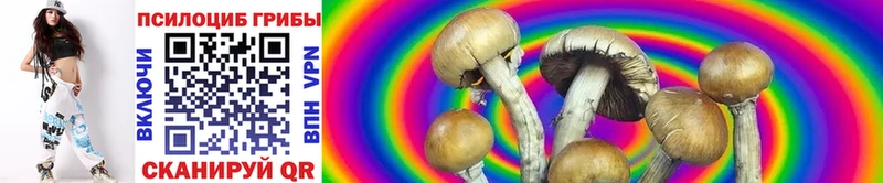 Псилоцибиновые грибы MAGIC MUSHROOMS  купить наркотик  Монино 